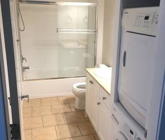 2 BEDROOM BASEMENT SUITE (incl. private parking) - Photo 4