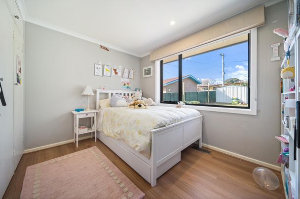 103 Morgan Street, Curtin ACT 2605 - House For Rent | Domain - Photo 1