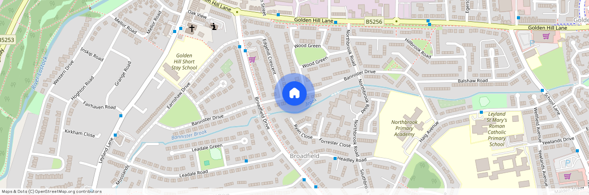 Bannister Drive, Leyland, PR25 2GE, Leyland