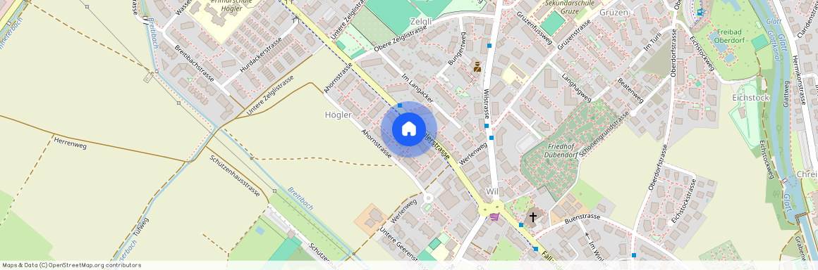 Höglerstr. 44, 8600, Dübendorf