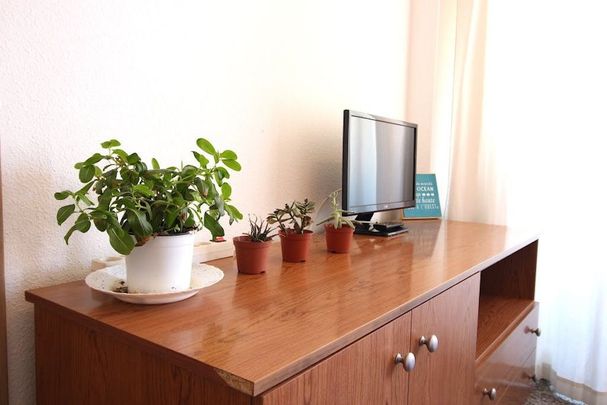 Carrer del Doctor Vicente Pallarés, Valencia, Valencian Community 46021 - Photo 1