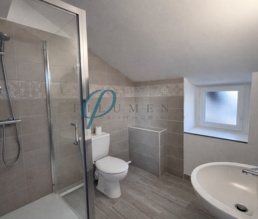 Location Appartement 1 pièce 22m² ANCENIS 44150 - Photo 2