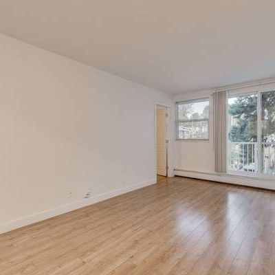 $1,875 / 1br - 480ft2 - COZY 1 BDR APT NEAR TRANSIT & SHOPS - Photo 1