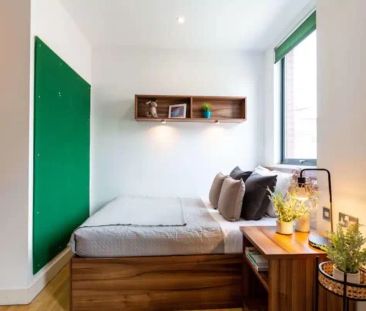 Standard Studio - Photo 5