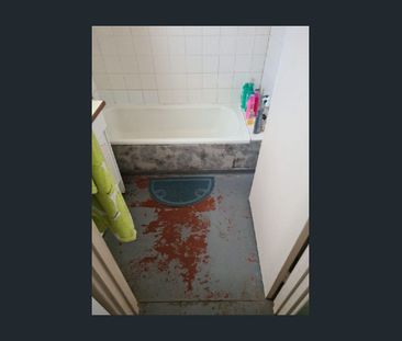 Private & Affordable Home with New Upgrades - Photo 6