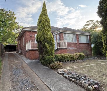 44 Raglan Street, Tamworth - Photo 5