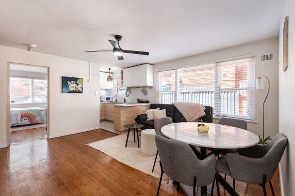 Sun Filled Ground Floor Unit - Photo 1