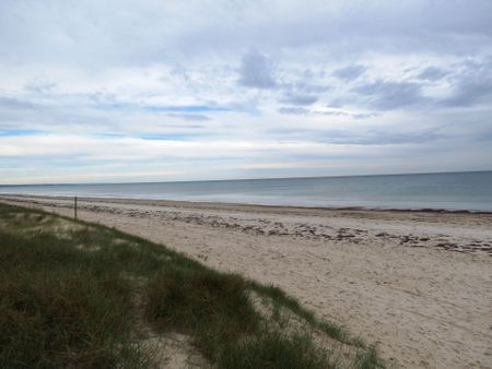 Beachfront Living at Its Best - Photo 2