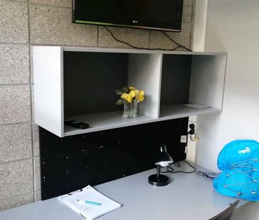 Furnished Apartment - Photo 3