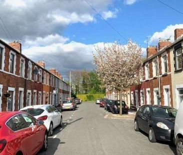 Spring Gardens Place, Cardiff, CF24 - Photo 6