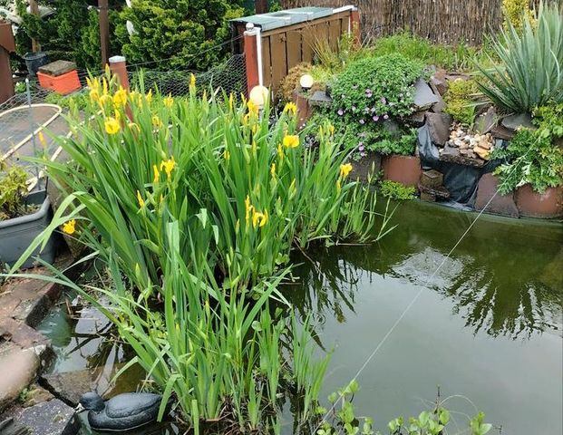 Zwei Zimmer Wohnung - Photo 1