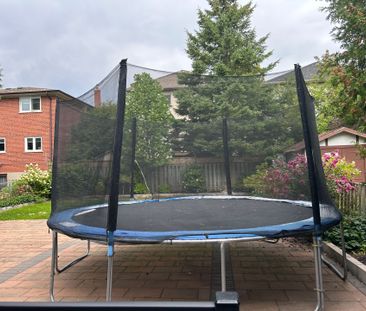 For Lease - 116 Newton Dr Drive Unit# Basement, Toronto, Ontario - Photo 5