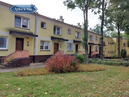 Dom na Wynajem, 100.00m - Photo 4