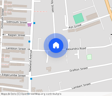 Lilac Avenue off Hardy Street - Photo 1