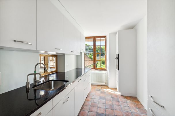 Lovingly renovated city apartment in the center of Basel - Photo 1