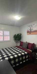 For Lease - 54 Carrie Crescent Unit# Room, Brampton, Ontario - Photo 3