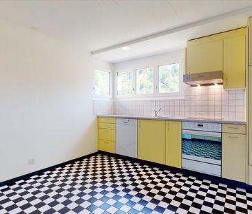 Schöne Duplexwohnung mit grosser Dachterrasse - Foto 2