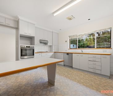 8 Jackson Street, Campbell ACT 2612 - House For Rent | Domain - Photo 6