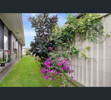 17 Landsboro Avenue, Boondall, Qld 4034 - Photo 5
