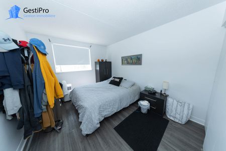 1805 de Grandville - Photo 4