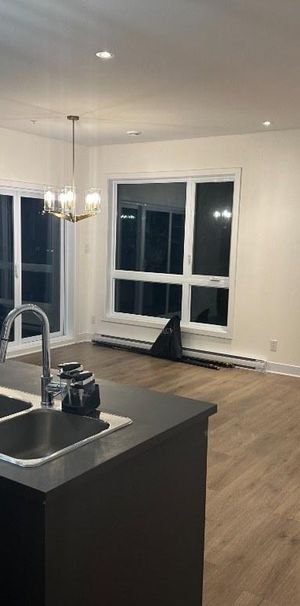 Grand condo lumineux 4 ½ au Faubourg Cousineau – Secteur recherché et paisible - Photo 1