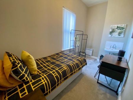 University Street, Room 2, All Bills Included, Belfast, BT7 1FZ - Photo 4