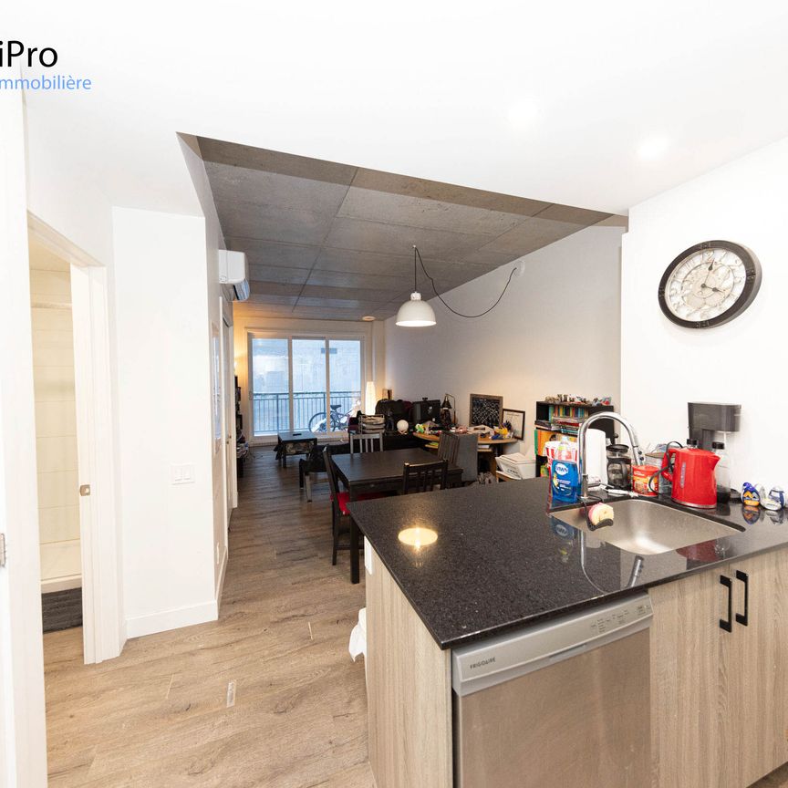 175 St-Vallier Est – Le Gecko - Photo 1