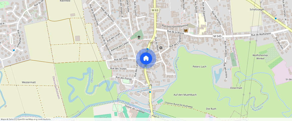 BAS-RHIN (67), - GRAND-EST, WOLFISHEIM (67202)