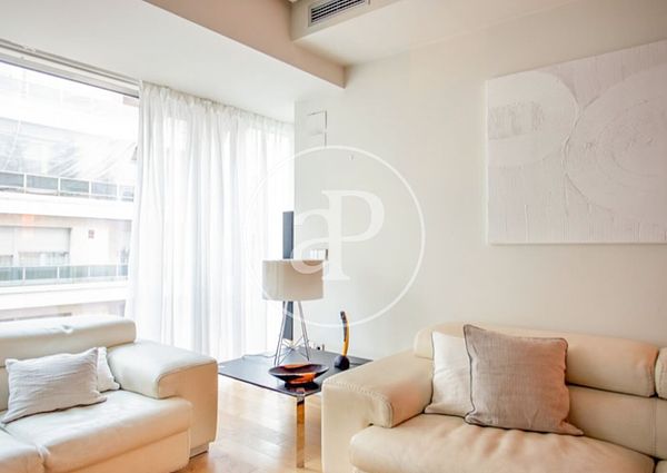 Flat for rent with views in Recoletos (Madrid)