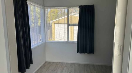 Freshly Renovated Family Home in Sunny Flaxmere! - Photo 4