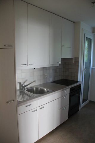 4 room apartment, 6006 Lucerne - Photo 2