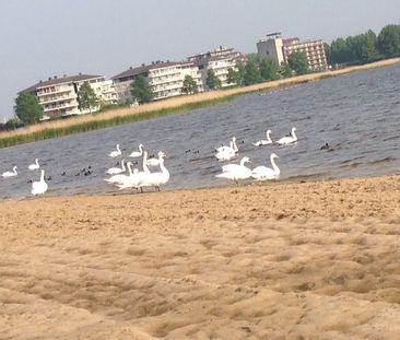 Appartement te huur: Eem 87 1273 PE Huizen - Photo 6