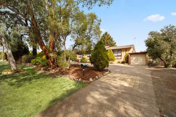 1,095sqm Leafy Retreat in Giralang - Photo 1