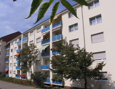 3 Zimmer, Küche, Dusche, Balkon, 1.OG rechts - Foto 1