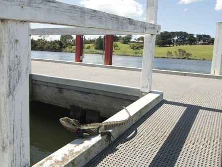 3-BEDROOM CABIN IN NICHOLSON RIVER HOLIDAY PARK - Photo 5