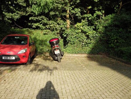 Studio Flat, Tremona Court, SO16 - Photo 3