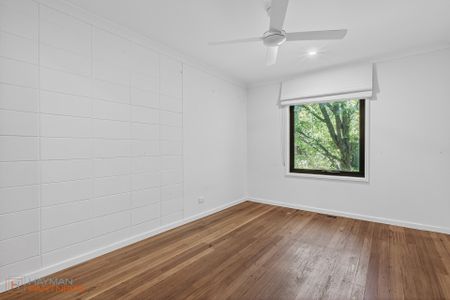 12 Argyle Place, Curtin ACT 2605 - House For Rent | Domain - Photo 3