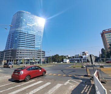 Działka Bolinko Szczecin, nr 427443 - Photo 5