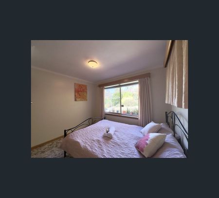 41 Parramore St, Rosetta, Tas 7010 - Photo 4