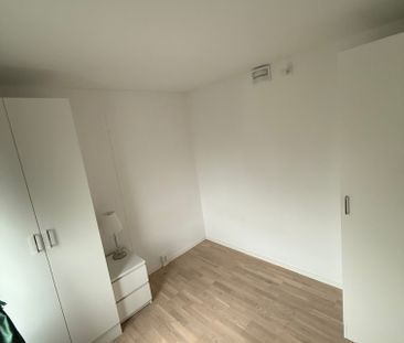 Storseglet, Vega - Foto 3