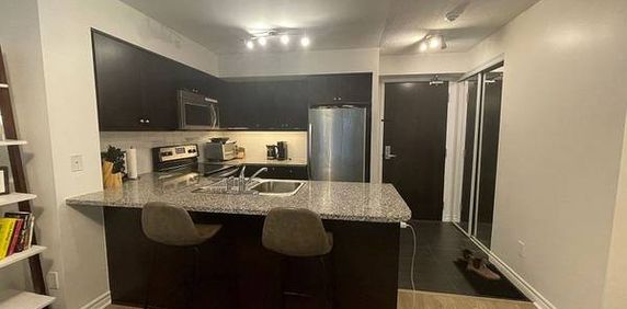 1 Bedroom, 1 Bathroom - Infinity Condos - Photo 2