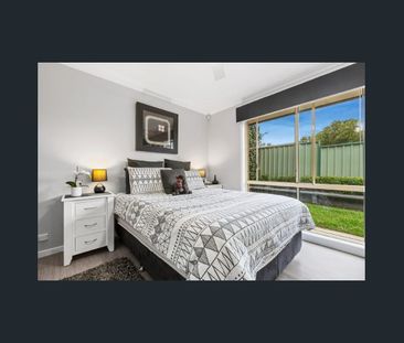 Great family home in perfect central location ! no car required !! - Photo 4
