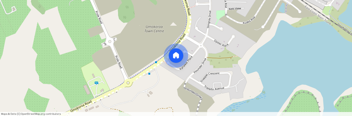 24 Kahawai Place, Omokoroa, Western Bay Of Plenty