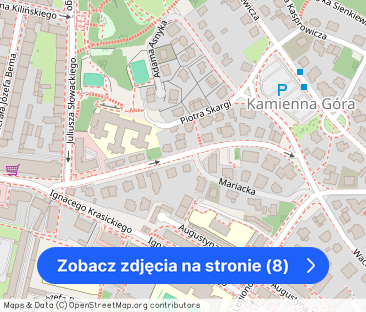 Dla pary ceniącej przestrzeń | Ogródek | Loft w Modernistycznej Willi – zdjęcie 1
