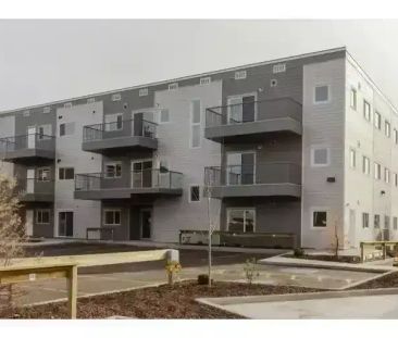 October Free ! December 1/2 month Free! | 16315 96A Avenue Northwes... - Photo 1