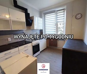 Mieszkanie Do Wynajęcia - Photo 1