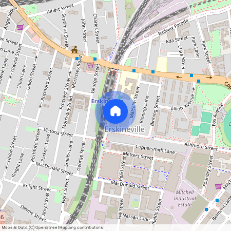 13 Bridge Street, NSW 2043, Erskineville