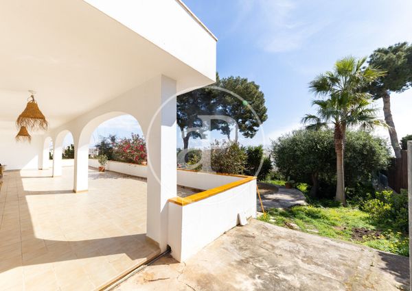 Ground floor apartment for rent in Palmanova