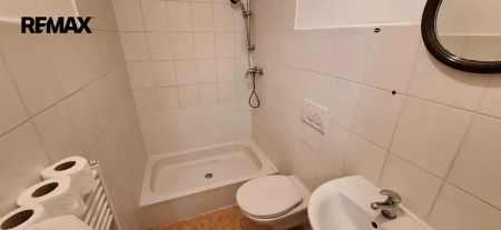 Pronájem bytu 1+kk, 20 m - Fotografie 4