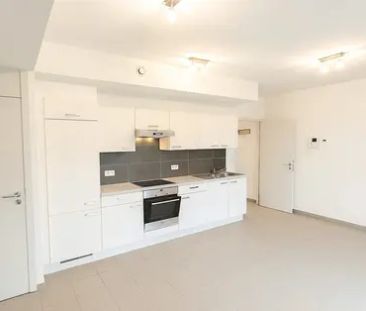 Drève du Génie 3 4, 7500 Tournai, België - Foto 4